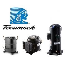 Tecumseh